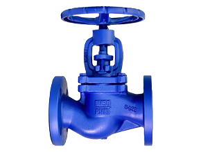 Bellows Globe Valve