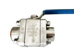 Forged 3PC Ball valve class 800 F304L