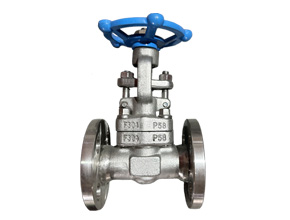 API 602 Forged Steel Flange Gate Valve F304
