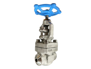 Butt welding F304 forged steel stop valve API 602
