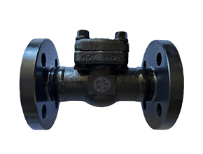 Forged Steel A105 Flange Check Valve