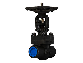 Forged Steel Gate Valve