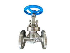 Forged steel valve globe valve