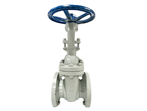 American Standard Gate Valve
