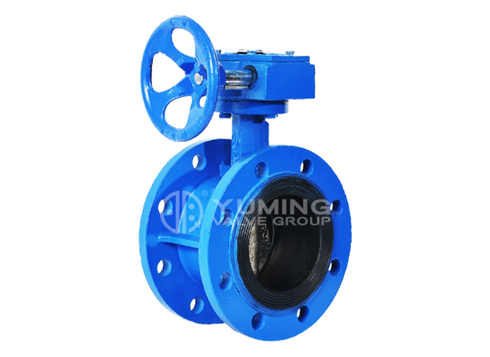 Worm Gear Operated Flange Butterfly Valve