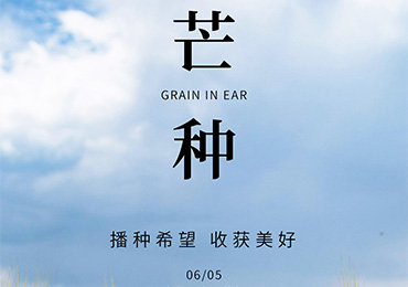 【grain-in-ear】-summer-begins-to-grow-with-the-arrival-of-grain-in-ear