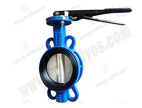 Wafer soft seal butterfly valve