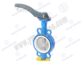 Wafer type butterfly valve double stem