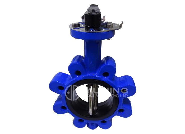 lug Cast iron/Ductile iron soft seal Center line Butterfly Valves